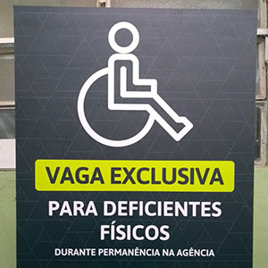 Placa Visual